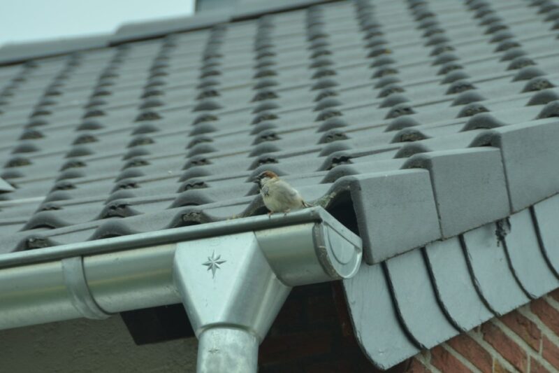 Gutter Replacement